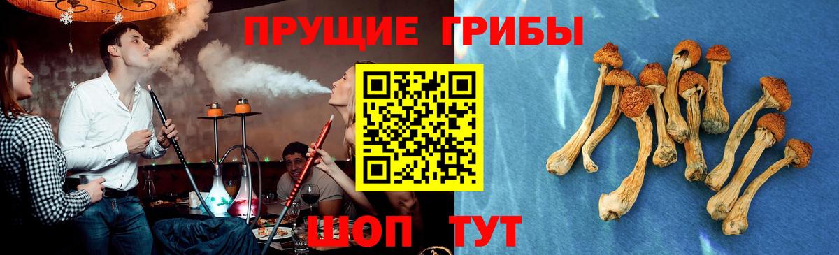 Галлюциногенные грибы мухоморы  Псилоцибиновые грибы Cubensis  Всеволожск  Вход с VPN 